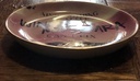 Multi-Purpose Dish