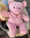 Plush/Stuffed Teddy