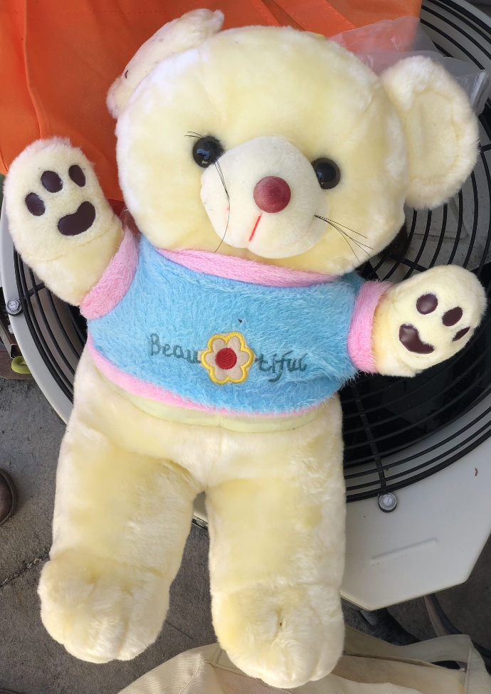 Stuffed/Plush Teddy