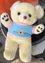 Stuffed/Plush Teddy