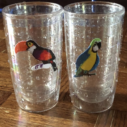 Insulated Tumblers