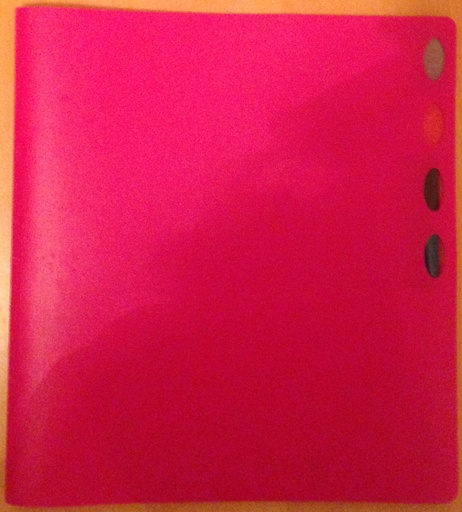 File Folder w/ Pockets & Dividers