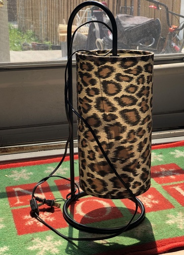 Desk/Table Lamp