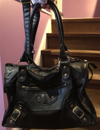 Pet Carrier Bag