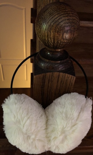 Earmuffs